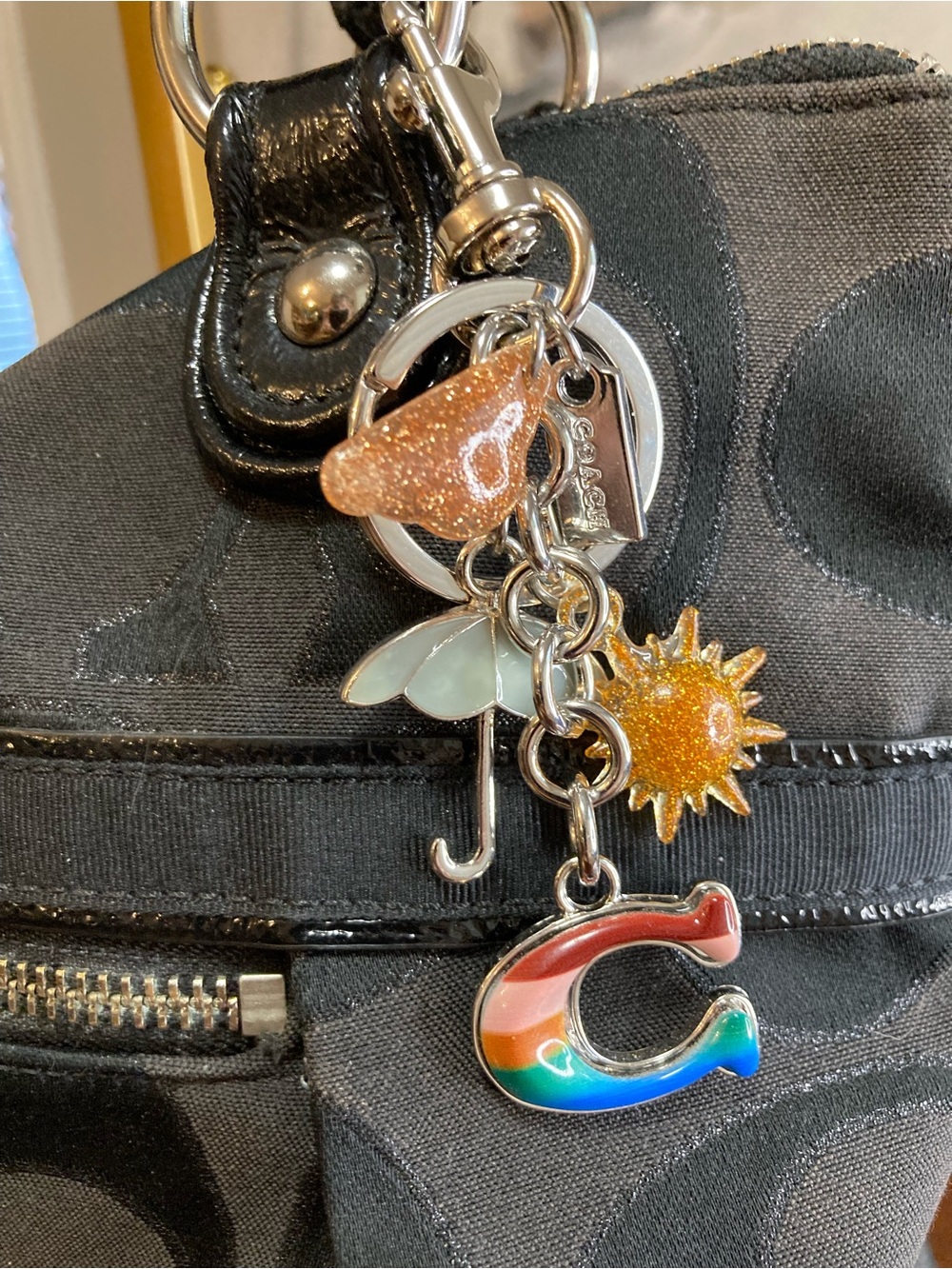 Coach Rainbow Weather Mixed Charms Bag Charm | Silver-Tone Hardware NWOT